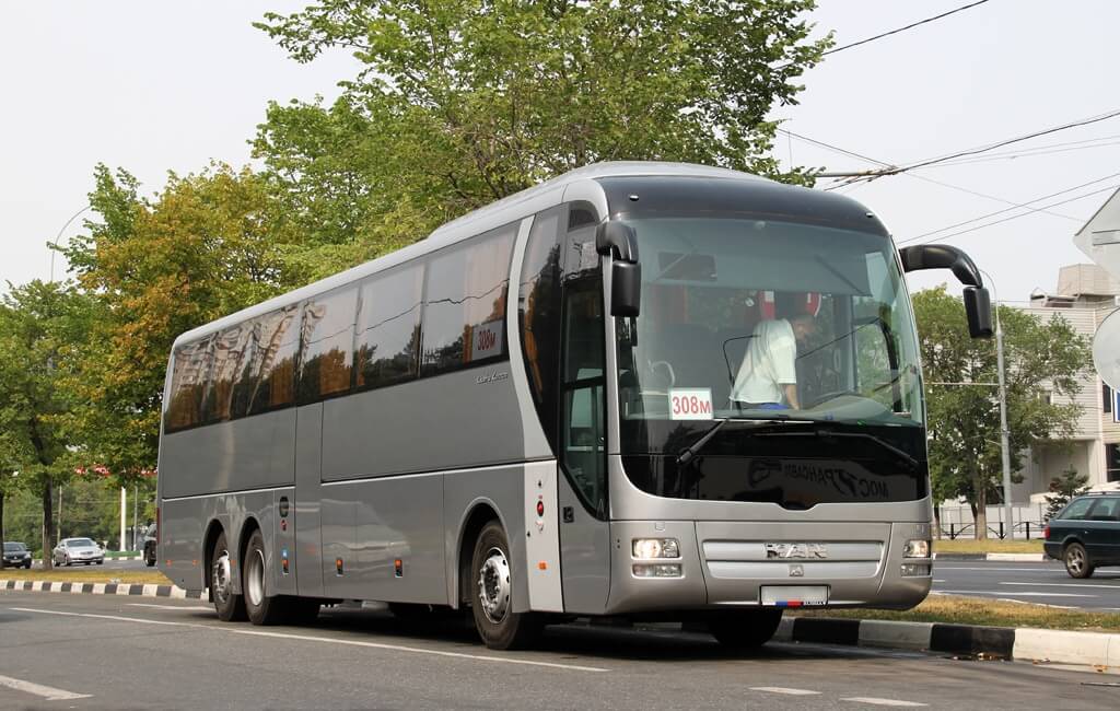 R08 Lion's Coach R08 Lion's Coach